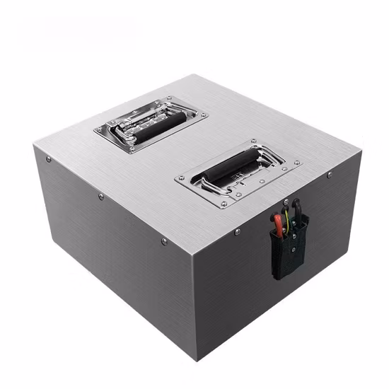 Paquete de batería de litio hecho a medida con Smart BMS para carretilla elevadora Agv AMR